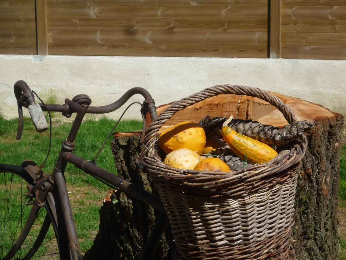 Bed and Breakfast Le Relais Du Grand Logis Civrieux Экстерьер фото