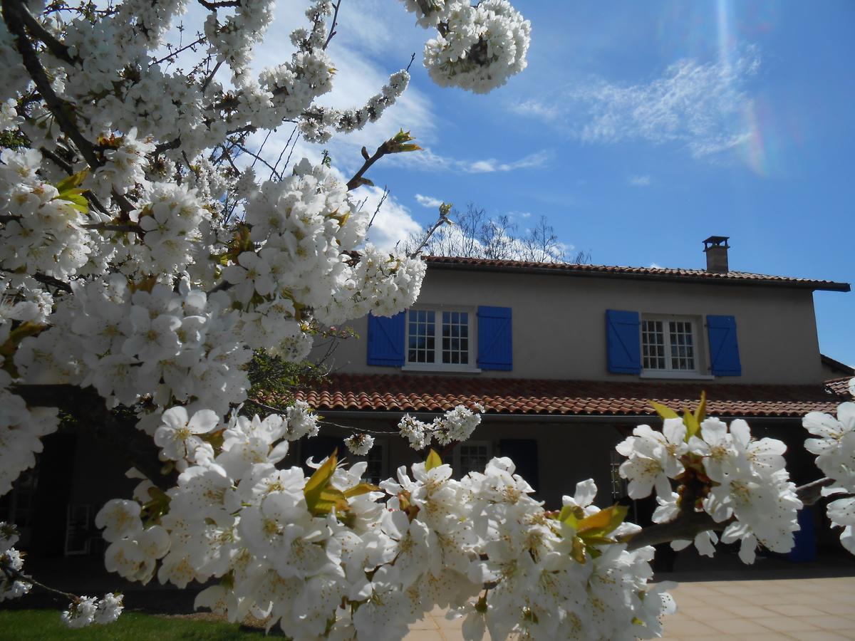 Bed and Breakfast Le Relais Du Grand Logis Civrieux Экстерьер фото